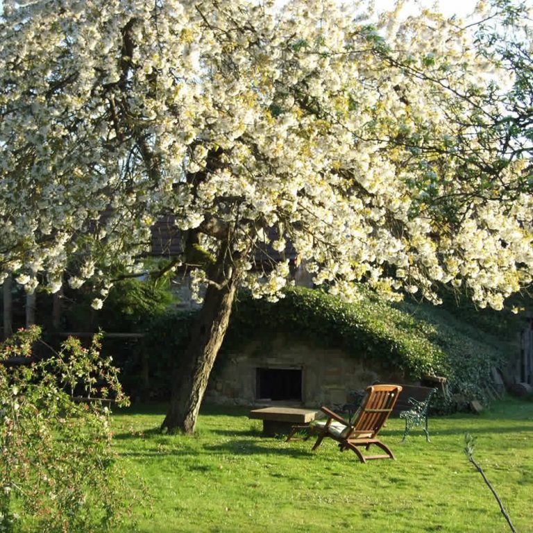 The Saddlery - under the cherry tree